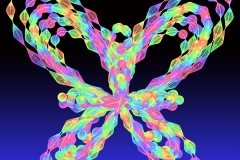 butterfly000_001_002-2