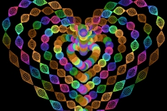 heart_00009
