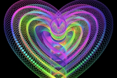heart_00010_001
