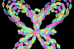 butterfly000_001_002