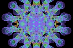 caldioid_00014