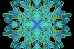 caldioid_00017