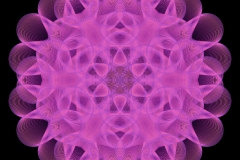 epitrocoid_00002