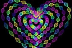 heart_00008