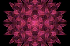 hypocycroid_00013