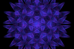 hypocycroid_00014